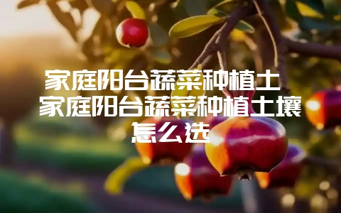 家庭阳台蔬菜种植土 家庭阳台蔬菜种植土壤怎么选-会东网