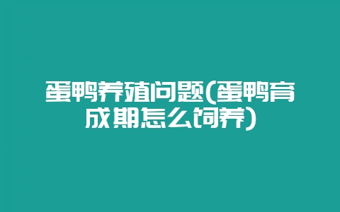 蛋鸭养殖问题(蛋鸭育成期怎么饲养)-会东网