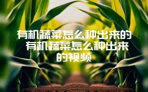 有机蔬菜怎么种出来的 有机蔬菜怎么种出来的视频-会东网