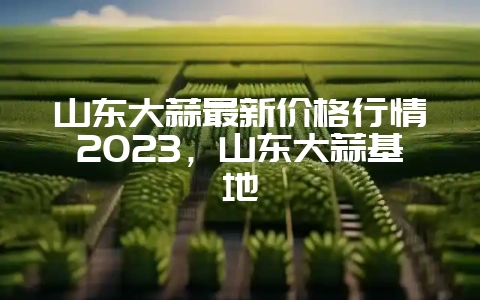 山东大蒜最新价格行情2023，山东大蒜基地-会东网