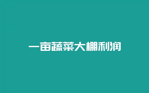 一亩蔬菜大棚利润-会东网