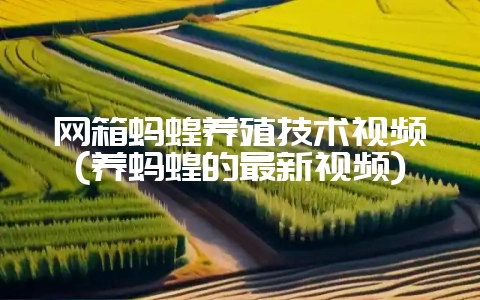 网箱蚂蝗养殖技术视频(养蚂蝗的最新视频)-会东网