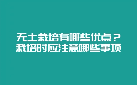 无土栽培有哪些优点？栽培时应注意哪些事项-会东网