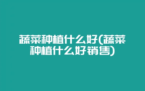 蔬菜种植什么好(蔬菜种植什么好销售)-会东网