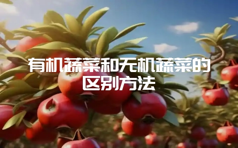 有机蔬菜和无机蔬菜的区别方法-会东网
