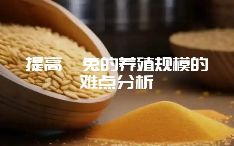 提高獭兔的养殖规模的难点分析-会东网