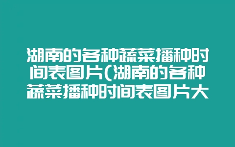 湖南的各种蔬菜播种时间表图片(湖南的各种蔬菜播种时间表图片大全)-会东网