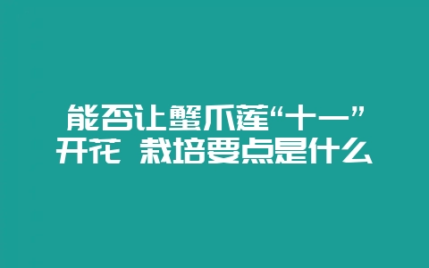 能否让蟹爪莲“十一”开花 栽培要点是什么-会东网