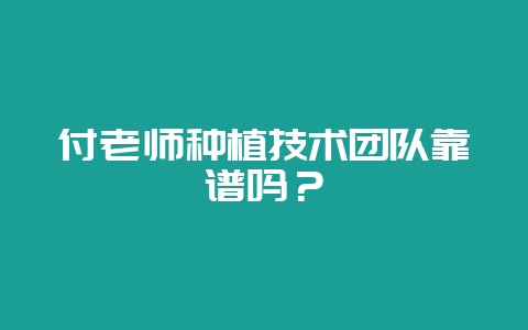 付老师种植技术团队靠谱吗？-会东网