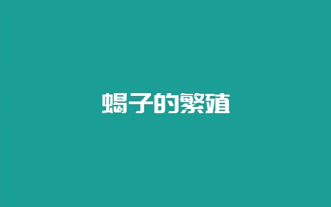 蝎子的繁殖-会东网