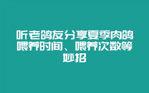 听老鸽友分享夏季肉鸽喂养时间、喂养次数等妙招​-会东网