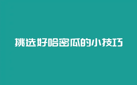 挑选好哈密瓜的小技巧-会东网