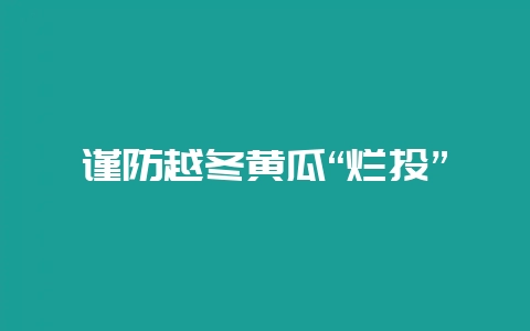 谨防越冬黄瓜“烂头”-会东网