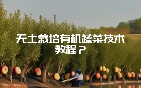 无土栽培有机蔬菜技术教程?-会东网