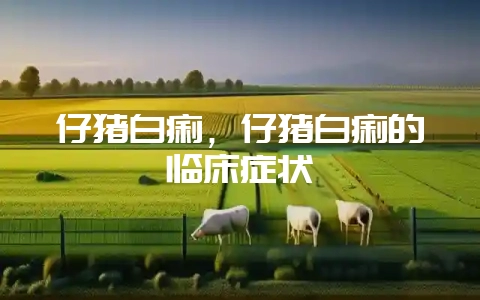 仔猪白痢,仔猪白痢的临床症状-会东网