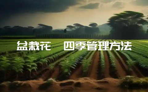 盆栽花卉四季管理方法-会东网