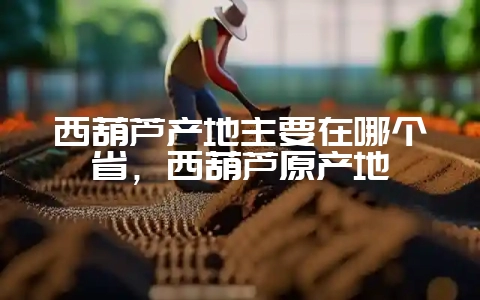 西葫芦产地主要在哪个省，西葫芦原产地-会东网