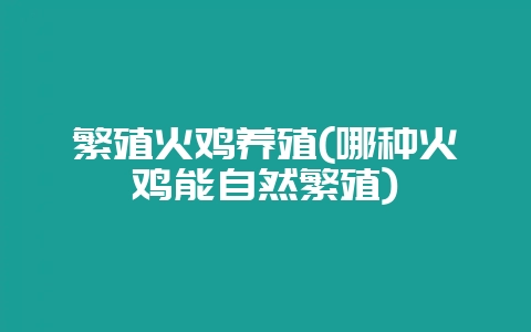 繁殖火鸡养殖(哪种火鸡能自然繁殖)-会东网