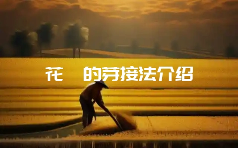 花卉的芽接法介绍-会东网