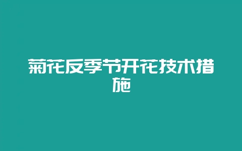 菊花反季节开花技术措施-会东网