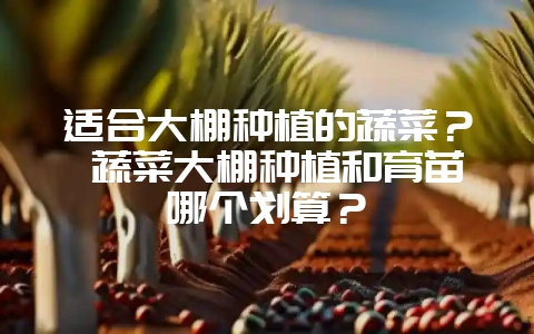 适合大棚种植的蔬菜？ 蔬菜大棚种植和育苗哪个划算？-会东网