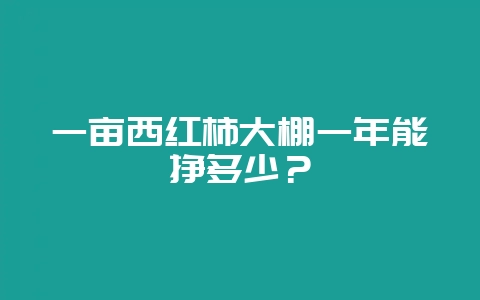 一亩西红柿大棚一年能挣多少？-会东网
