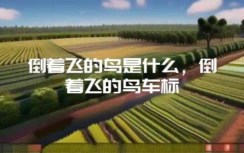 倒着飞的鸟是什么，倒着飞的鸟车标-会东网