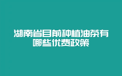 湖南省目前种植油茶有哪些优费政策-会东网