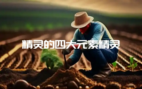 精灵的四大元素精灵-会东网