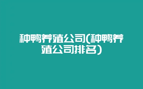 种鸭养殖公司(种鸭养殖公司排名)-会东网