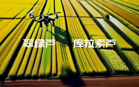 翠绿芦荟 库拉索芦荟-会东网