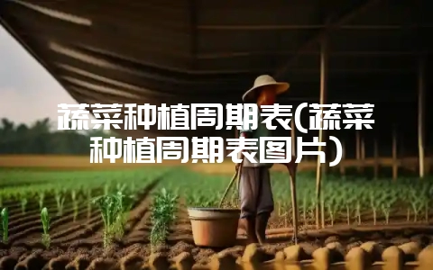 蔬菜种植周期表(蔬菜种植周期表图片)-会东网