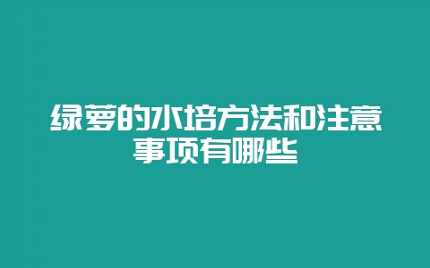 绿萝的水培方法和注意事项有哪些-会东网