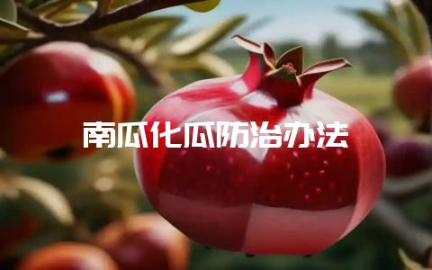 南瓜化瓜防治办法-会东网