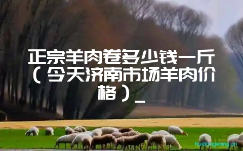 正宗羊肉卷多少钱一斤（今天济南市场羊肉价格）_-会东网