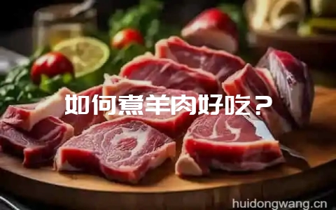 如何煮羊肉好吃?插图 如何煮羊肉好吃?插图