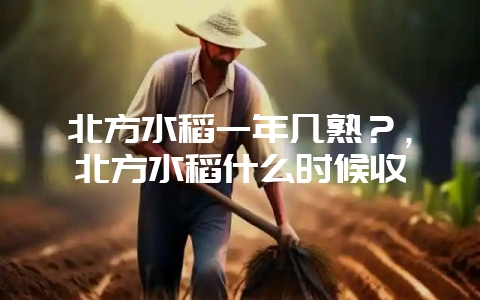 北方水稻一年几熟？，北方水稻什么时候收-会东网
