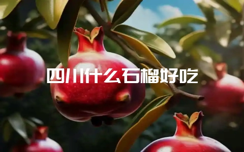 四川什么石榴好吃插图 四川什么石榴好吃插图