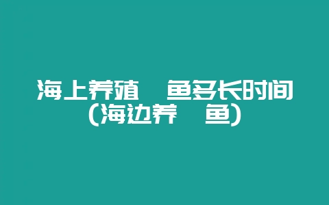 海上养殖鲍鱼多长时间(海边养鲍鱼)-会东网