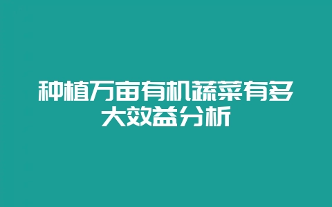 种植万亩有机蔬菜有多大效益分析-会东网