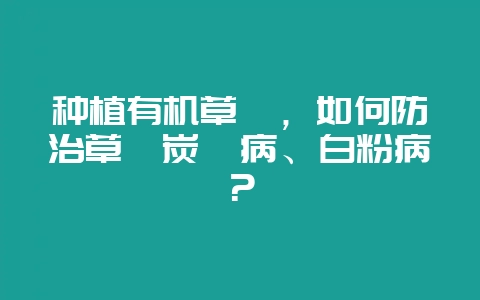 种植有机草莓，如何防治草莓炭疽病、白粉病？-会东网