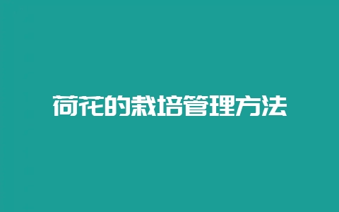 荷花的栽培管理方法-会东网