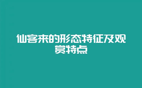 仙客来的形态特征及观赏特点-会东网