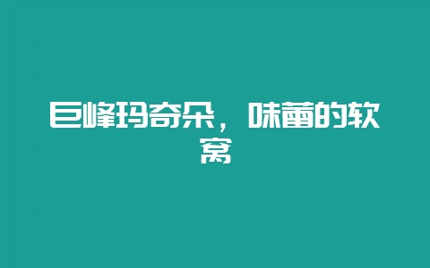 巨峰玛奇朵，味蕾的软窝-会东网