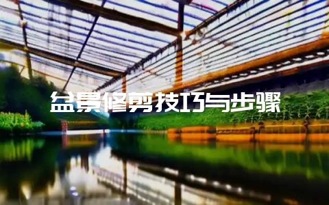 盆景修剪技巧与步骤-会东网