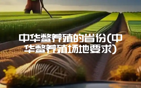 中华鳖养殖的省份(中华鳖养殖场地要求)-会东网