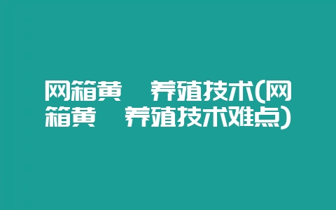 网箱黄鳝养殖技术(网箱黄鳝养殖技术难点)-会东网