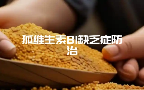狐维生素B1缺乏症防治-会东网