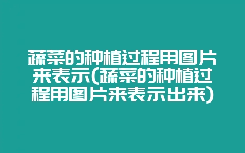 蔬菜的种植过程用图片来表示(蔬菜的种植过程用图片来表示出来)-会东网