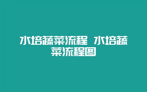 水培蔬菜流程 水培蔬菜流程图-会东网